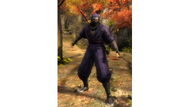 All Costumes in Ninja Gaiden: Master Collection (Work in progress)