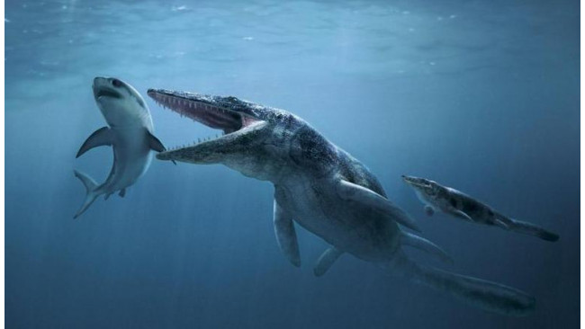 Beasts of Bermuda - Beginner's Guide to Mosasaurus