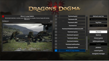 Dragons Dogma Dark Arisen Guide 10