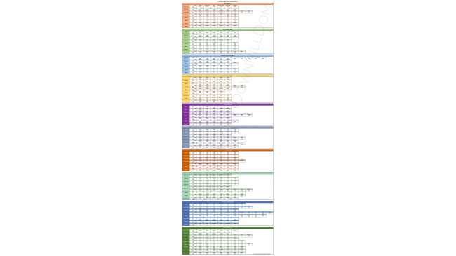 Fur Types - Probabilities / Rarenesses in % (Hi-RES)