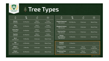 guide for trees grow time and Yield
